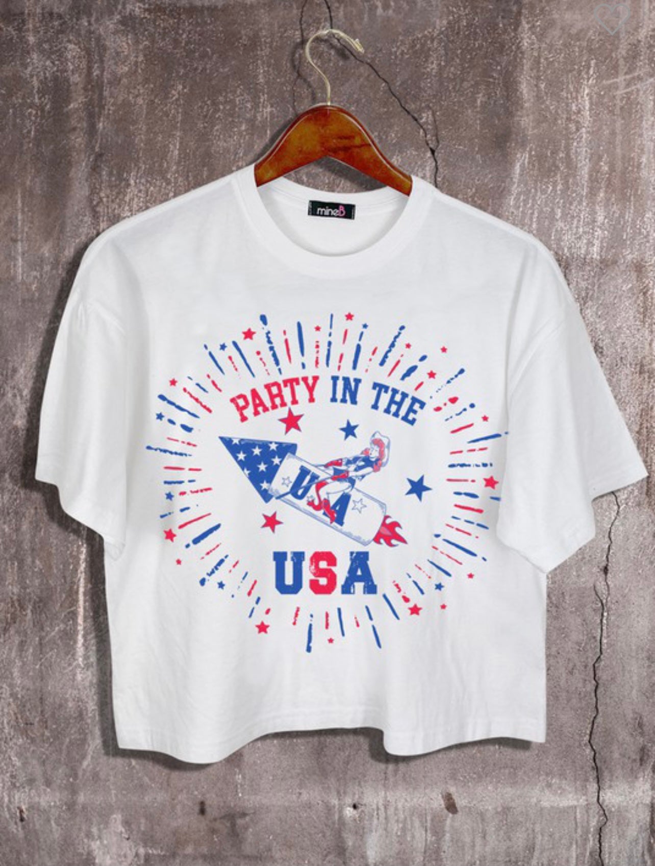 Party In The USA Crop