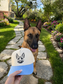 Custom dog portrait Trucker Hat